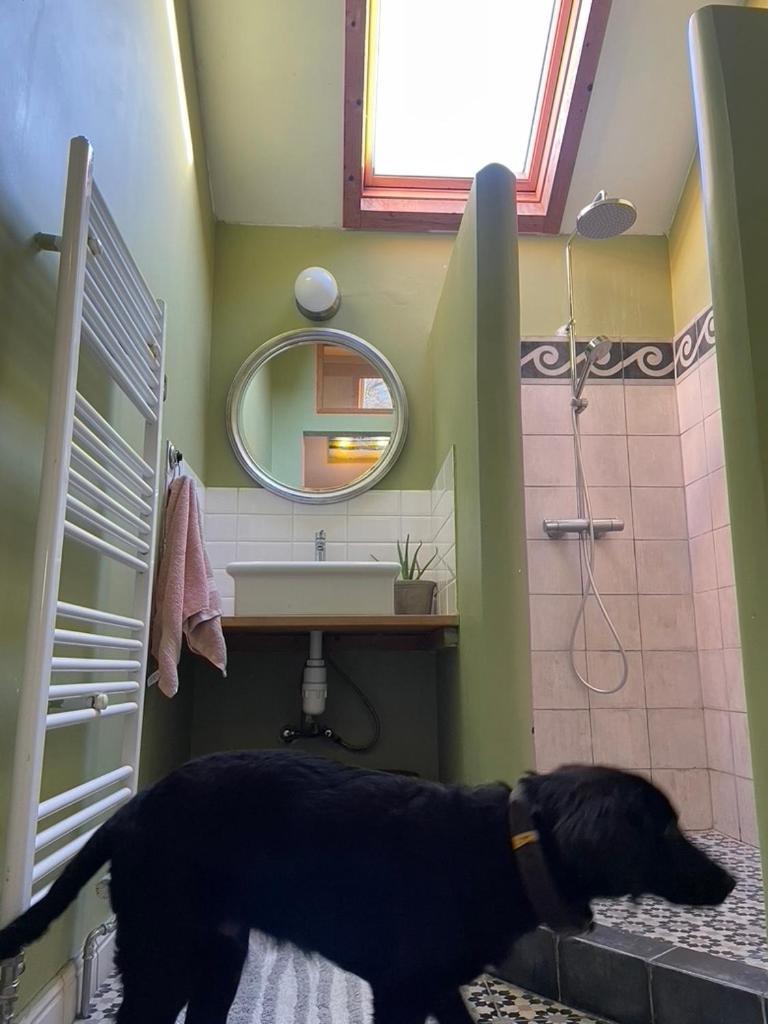 Hostal La Bruyere Du Coq Stables Sart-Dames-Avelines Exterior foto